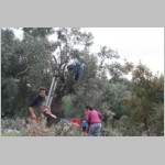 260 ... der Friseur wird nicht viel drauflassen..JPG 260 ... der Friseur wird nicht viel drauflassen..JPG